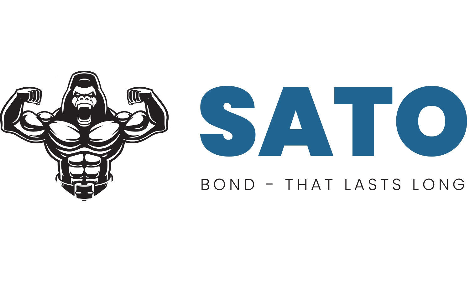 Sato logo landscape